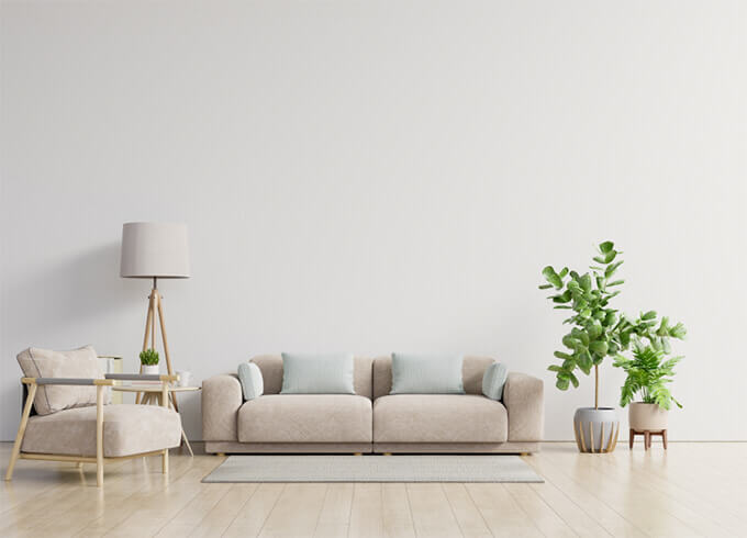 صورة المقال