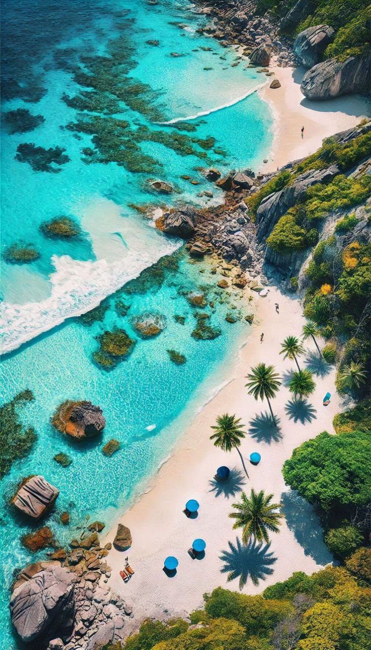 رحلة شاطئية