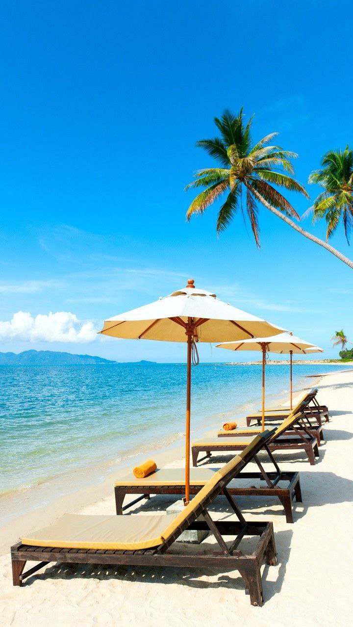 منظر لرحلة وسفر